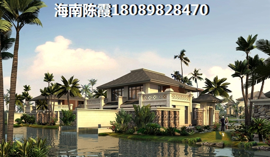 海口市以后发展预测 海口市以后发展预测